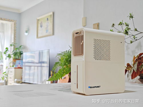 夏季來臨,廚房降溫怎么辦 空調(diào) 風(fēng)扇 涼霸哪種更好用 各自的優(yōu)缺點分別在哪里 哪種降溫設(shè)備最好用 一篇文章告訴你