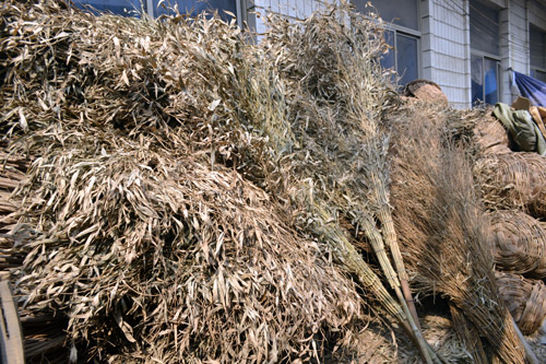 掃帚001 日用品市場中的必備清潔利器